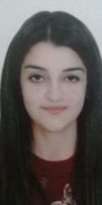 Hanan Alkhansa